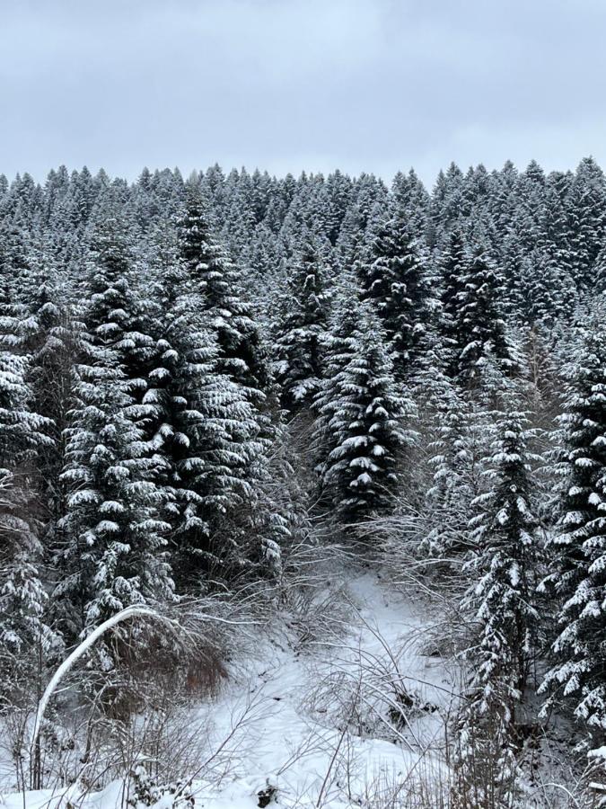 Belvedere-Karpaty-Panorama Skhidnytsia Exteriör bild