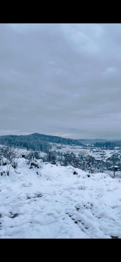 Belvedere-Karpaty-Panorama Skhidnytsia Exteriör bild
